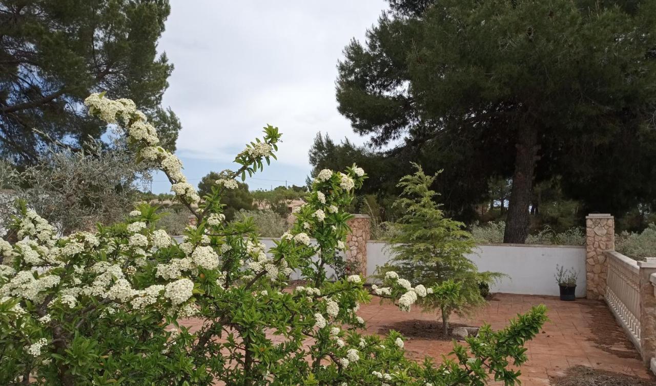 Villa Casa De Pascual Yecla Esterno foto